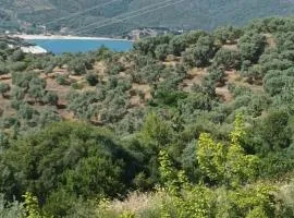 Art Hotel Panorama