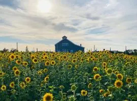 Fossil Farms Oceanside Retreat