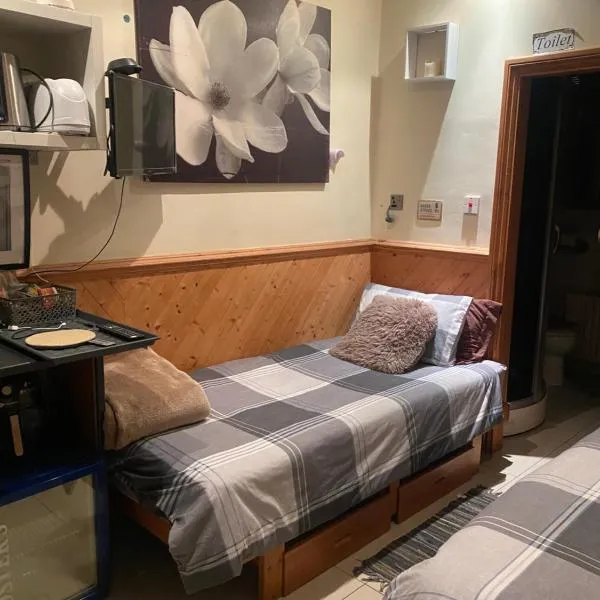 Big Home in London, Forest Hill, hotel v Londýně
