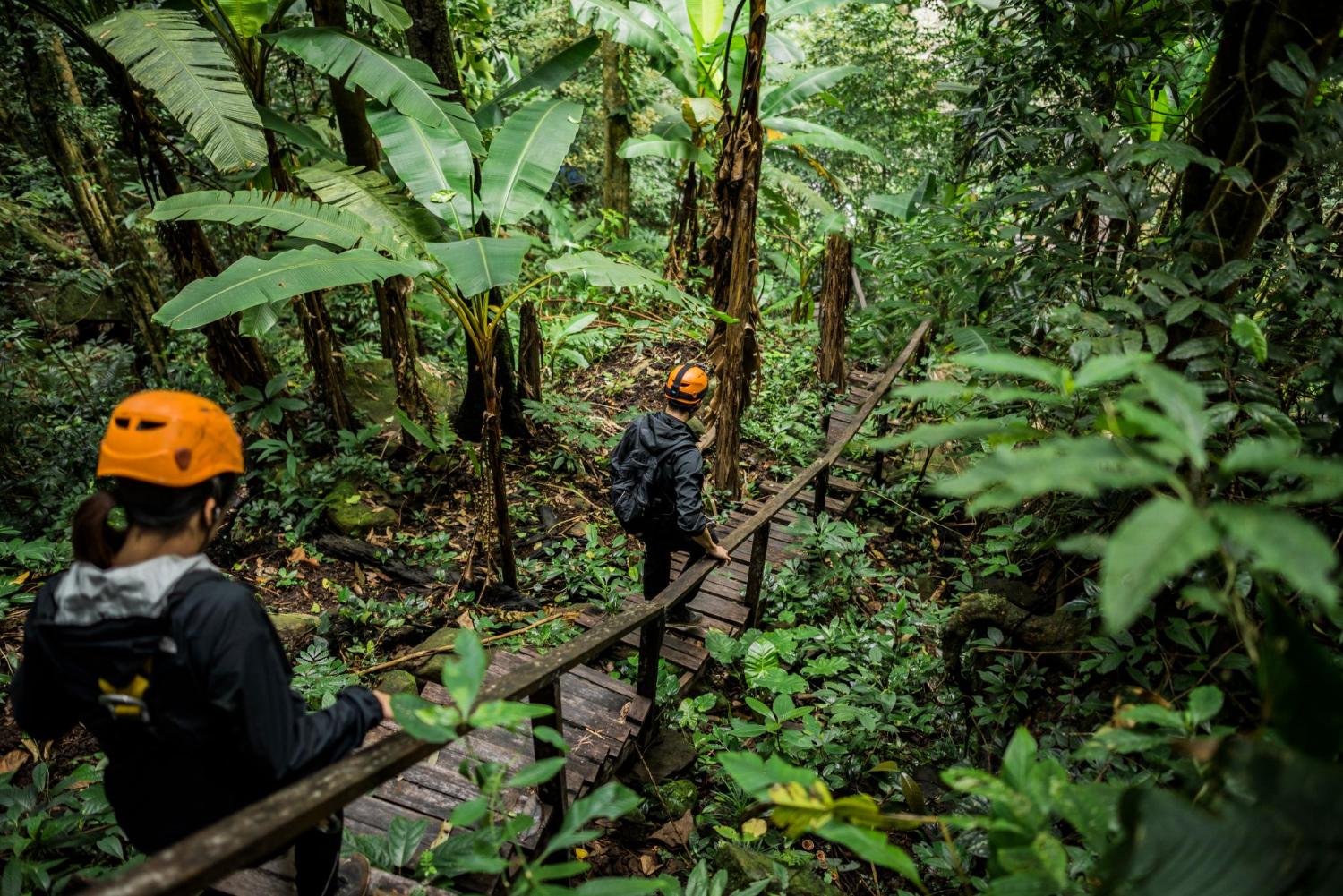 Hikers crossing wooden bridge in the Ban Nongluang forest, Champassak province, Paksong, Laos.